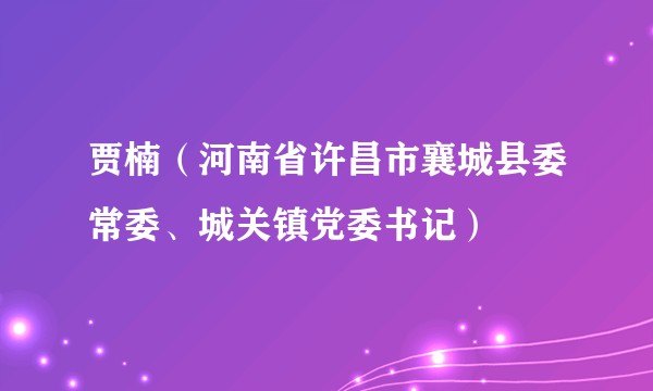 贾楠（河南省许昌市襄城县委常委、城关镇党委书记）