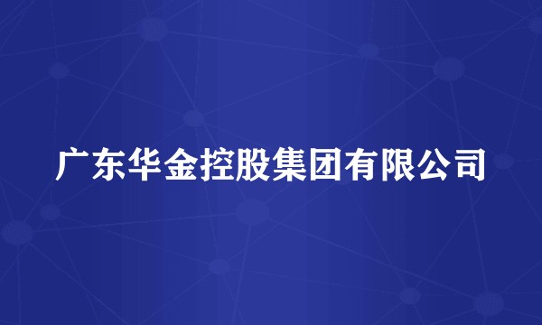 广东华金控股集团有限公司