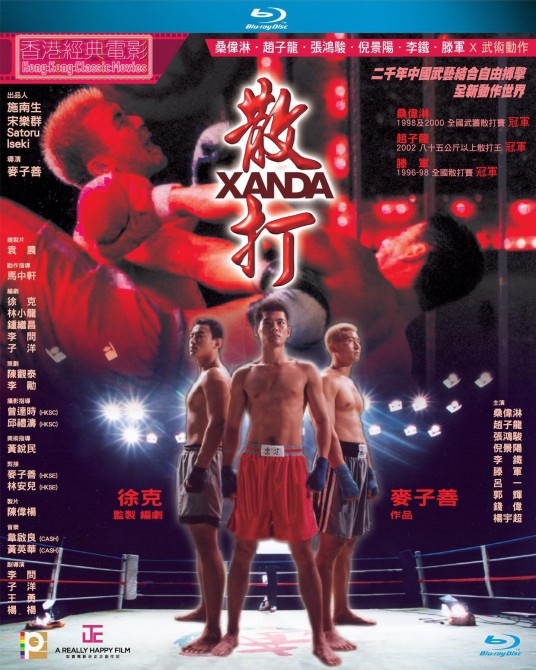 散打（2003年麦子善执导动作剧情电影）