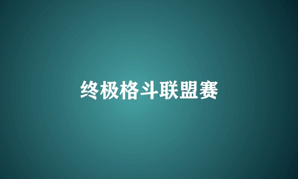 终极格斗联盟赛