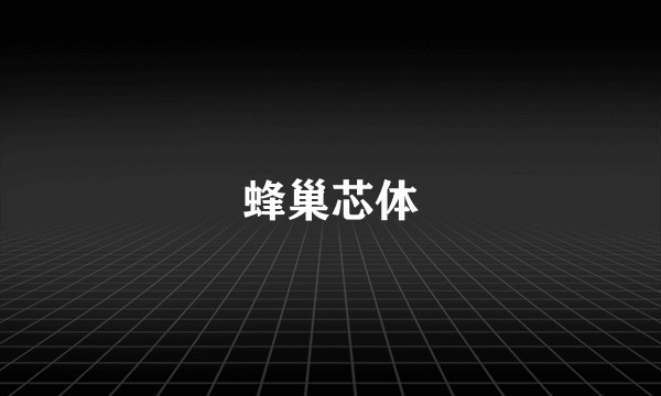 蜂巢芯体
