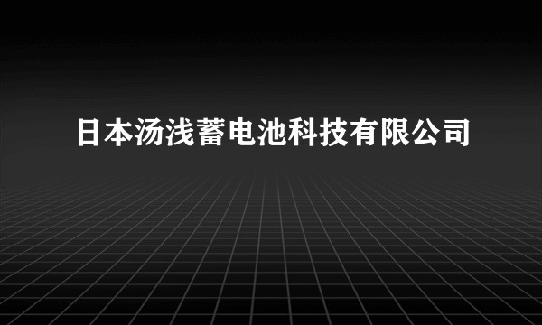 日本汤浅蓄电池科技有限公司