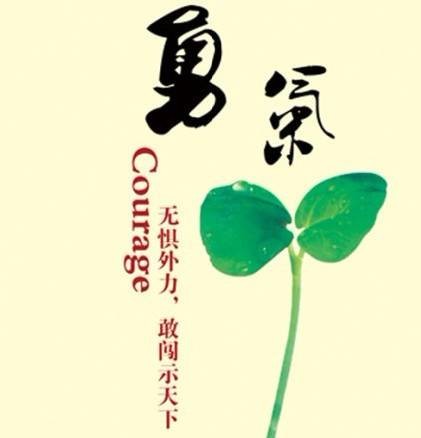 勇气(狄斯尼著短篇小说)