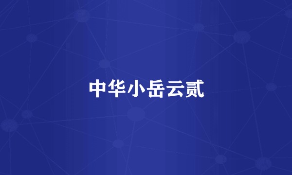 中华小岳云贰