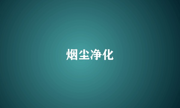 烟尘净化