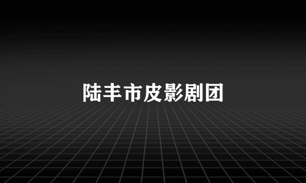 陆丰市皮影剧团