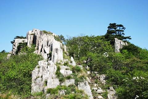 龙王山（山西省方山县龙王山）