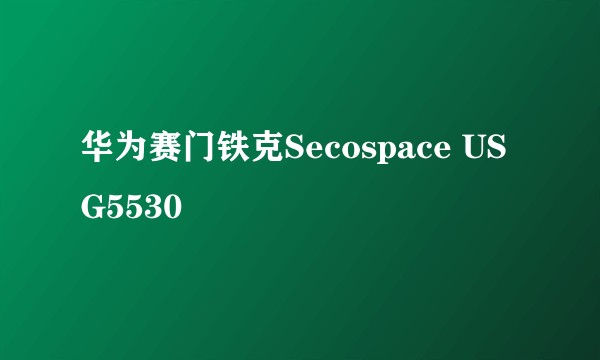 华为赛门铁克Secospace USG5530