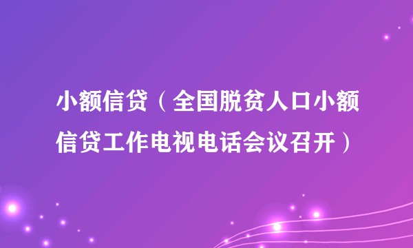 小额信贷（全国脱贫人口小额信贷工作电视电话会议召开）