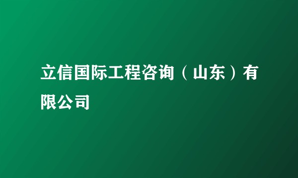 立信国际工程咨询(山东)有限公司