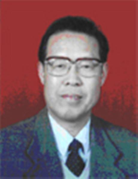 杜磊(华东理工大学兼职教授)