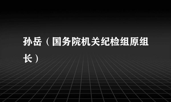 孙岳（国务院机关纪检组原组长）