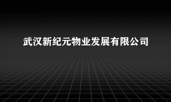 武汉新纪元物业发展有限公司