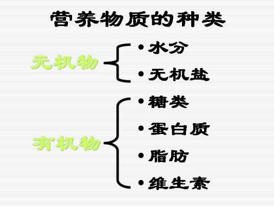 营养物质
