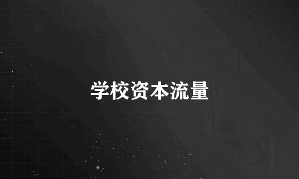 学校资本流量