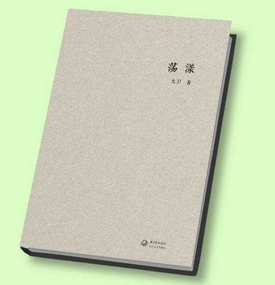 荡漾（2013年长江文艺出版社出版的图书）