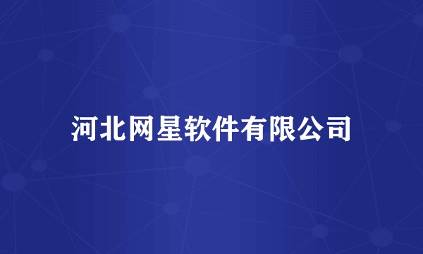 河北网星软件有限公司