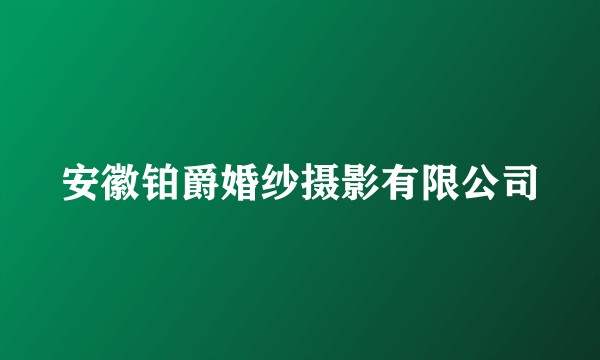安徽铂爵婚纱摄影有限公司