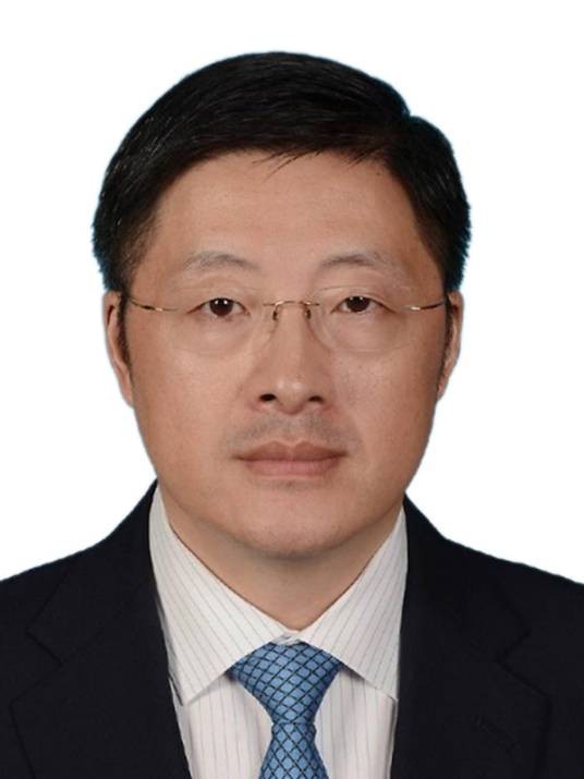 杨勇(第十四届全国人大代表,国家电网有限公司副总工程师兼华东分部主任、党委副书记)