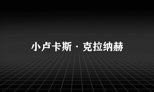 小卢卡斯·克拉纳赫