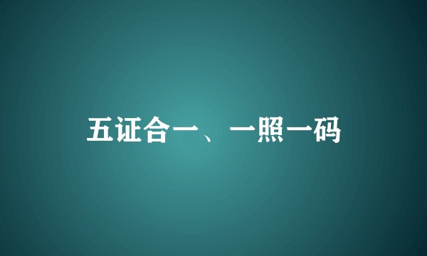 五证合一、一照一码