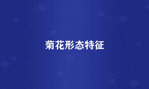 菊花形态特征