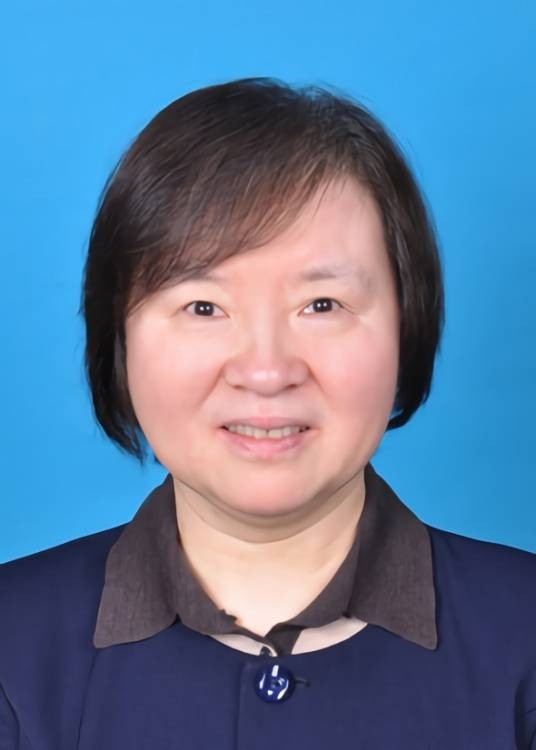 苏东林(北京航空航天大学教授、中国工程院院士)