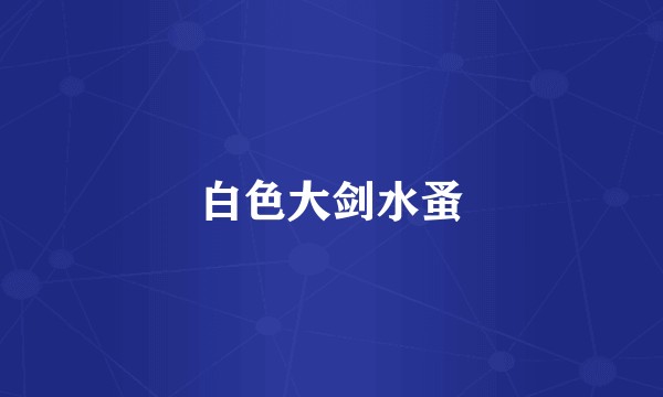 白色大剑水蚤
