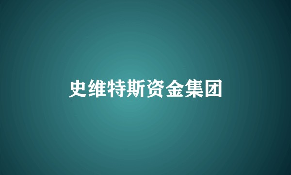 史维特斯资金集团