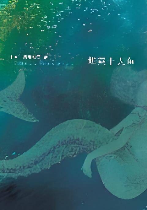华莱士人鱼：岩井俊二新作