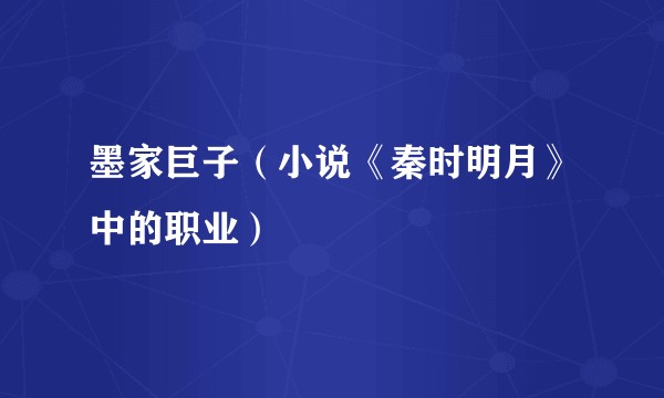 墨家巨子（小说《秦时明月》中的职业）