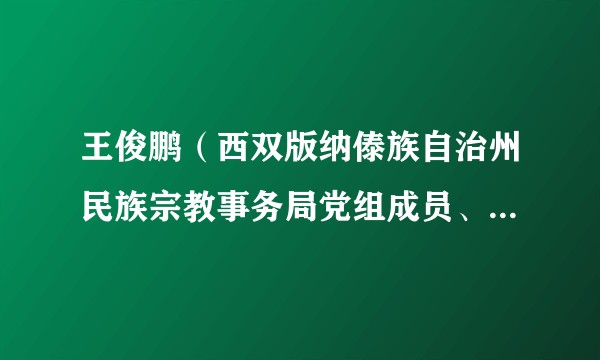 王俊鹏（西双版纳傣族自治州民族宗教事务局党组成员、副局长）