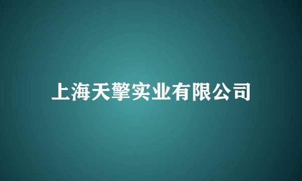 上海天擎实业有限公司
