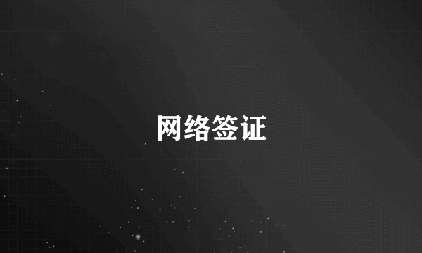网络签证