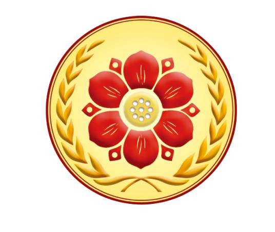 中国导乐集团