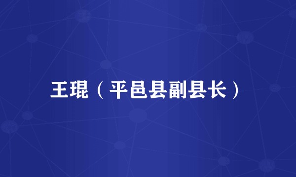 王琨(平邑县副县长)