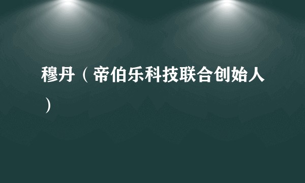 穆丹（帝伯乐科技联合创始人）