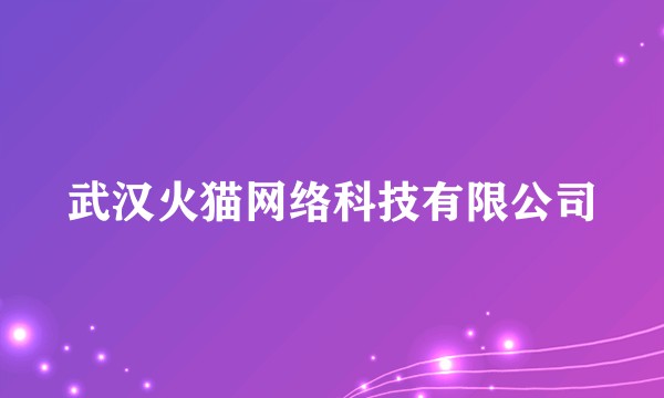 武汉火猫网络科技有限公司