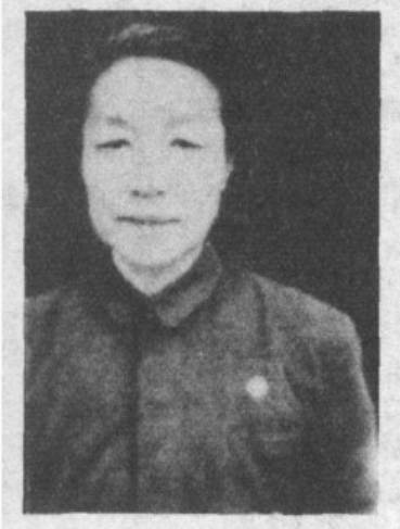 乔嘉甫