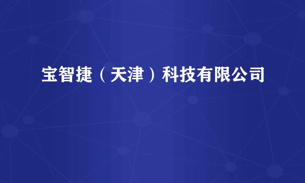 宝智捷(天津)科技有限公司