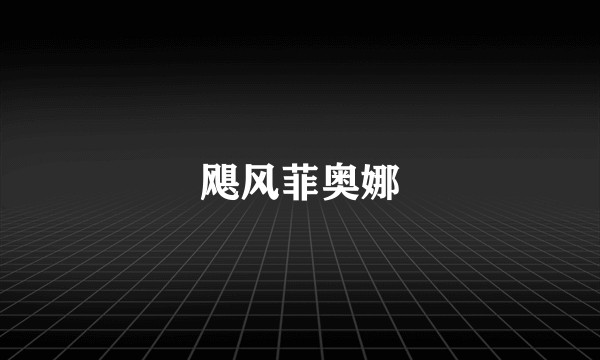 飓风菲奥娜