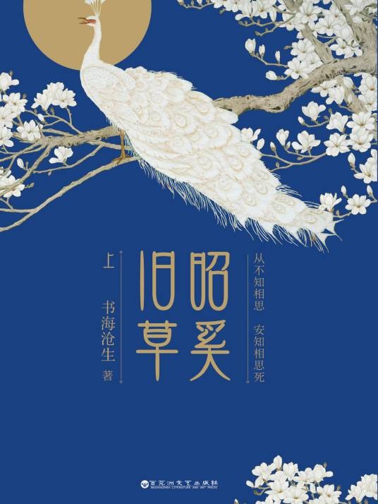 昭奚旧草(2015年百花洲文艺出版社出版的图书)