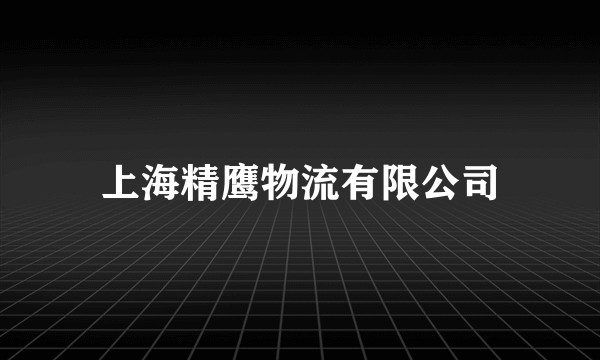 上海精鹰物流有限公司