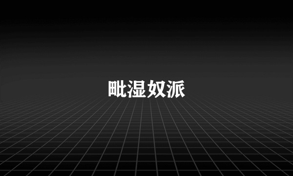毗湿奴派