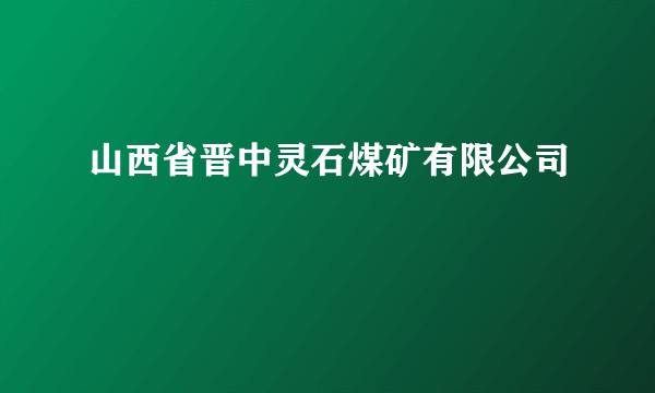 山西省晋中灵石煤矿有限公司