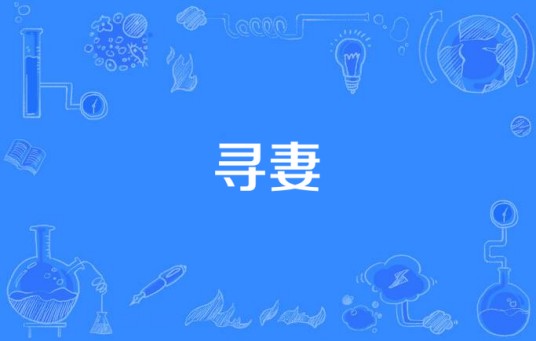 寻妻