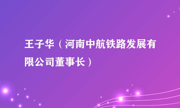 王子华（河南中航铁路发展有限公司董事长）