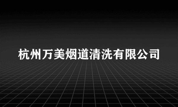 杭州万美烟道清洗有限公司