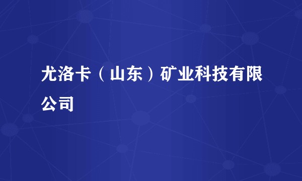 尤洛卡（山东）矿业科技有限公司
