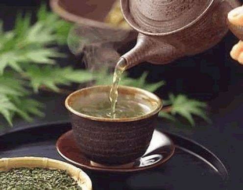 白豪银针茶